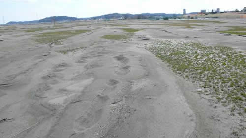 描述: 2011 TOHOKU EQ 477.JPG