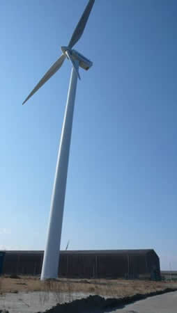 描述: 2011 TOHOKU EQ 651.JPG