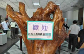 描述: DSC_0071.jpg
