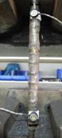 DSCN7752